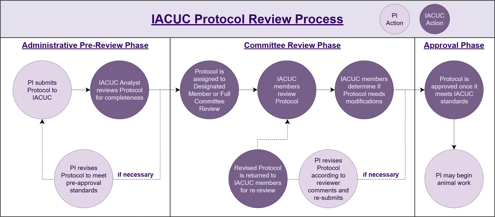 Diagram detailing IACUC's review process