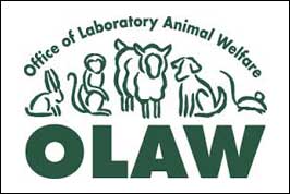 OLAW Logo